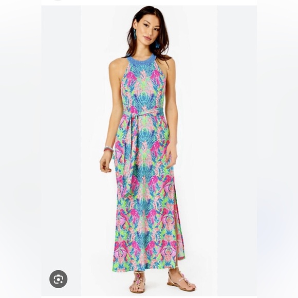 Lilly Pulitzer Dresses & Skirts - Lilly Pulitzer dress NWT size XL
